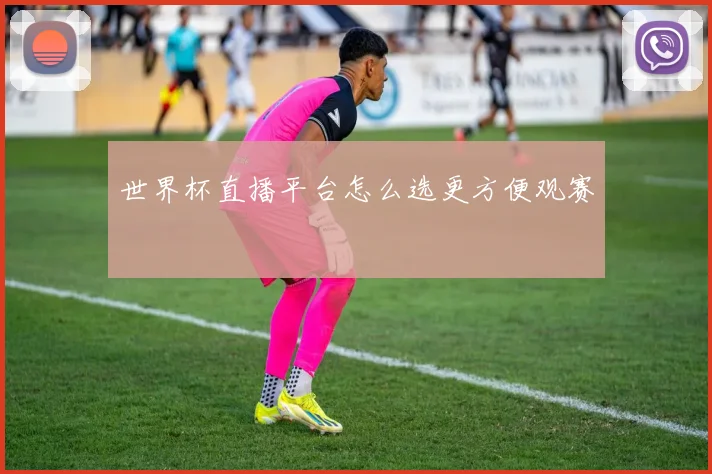 世界杯直播平台怎么选更方便观赛