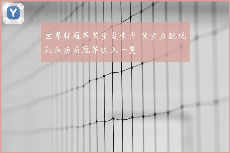 世界杯冠军奖金是多少 奖金分配规则和历届冠军收入一览