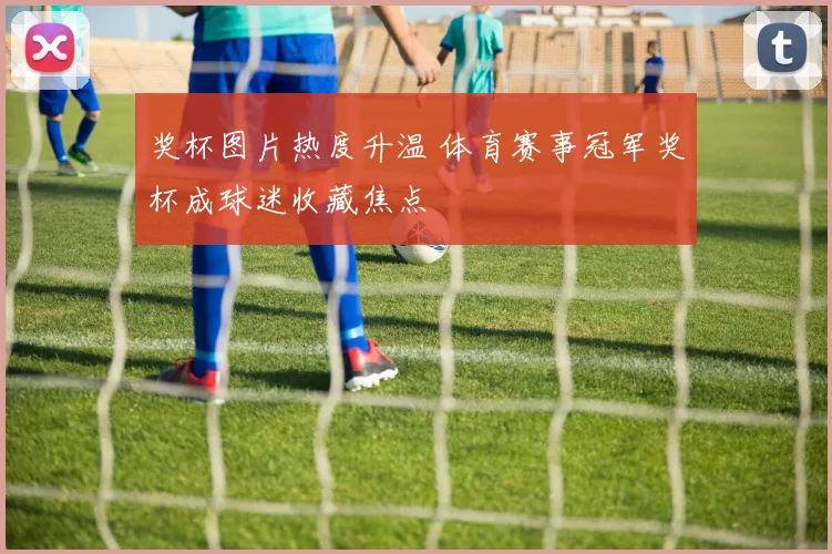 奖杯图片热度升温 体育赛事冠军奖杯成球迷收藏焦点