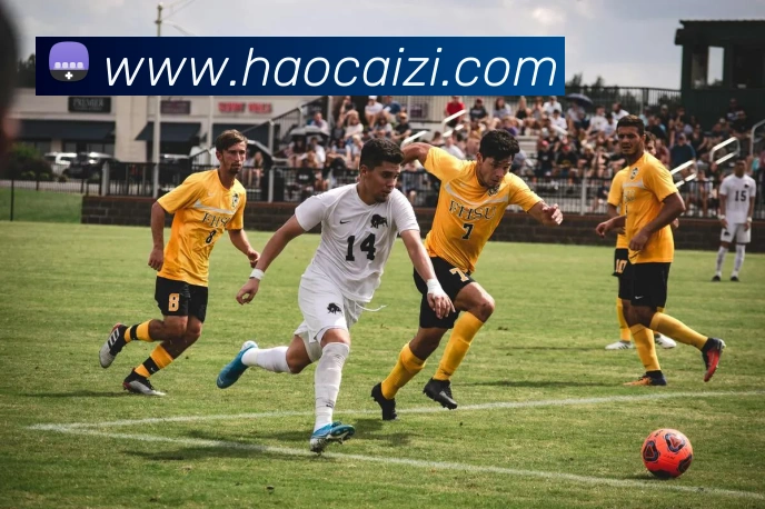 多媒体互动体验